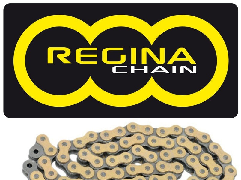 Regina Z-Ring Chain 120 Link — Vanasche Motorsports