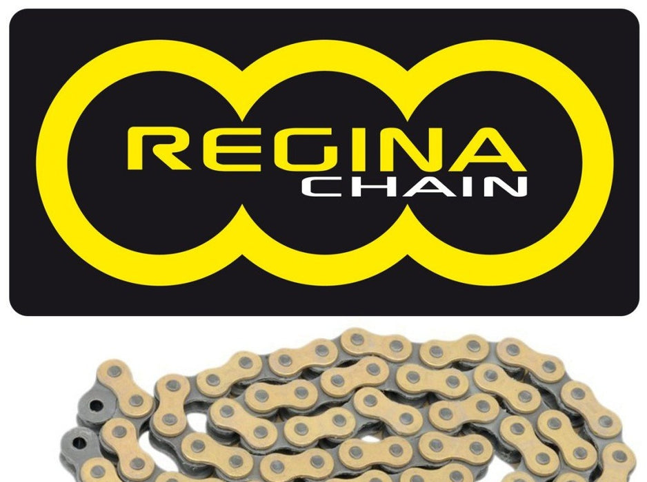 Regina Z-Ring Chain 120 Link